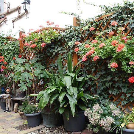 Phoenix Aus Der Asche Rhodt unter Rietburg Exterior photo