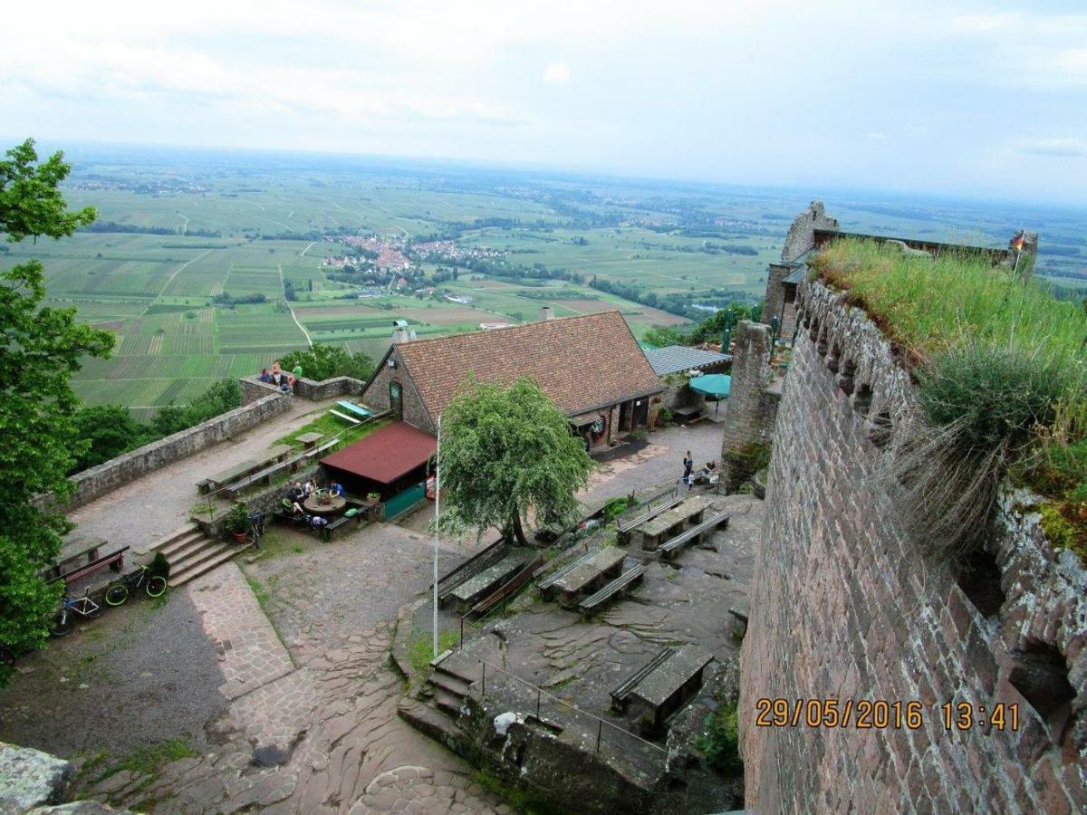 Phoenix Aus Der Asche Rhodt unter Rietburg Exterior photo