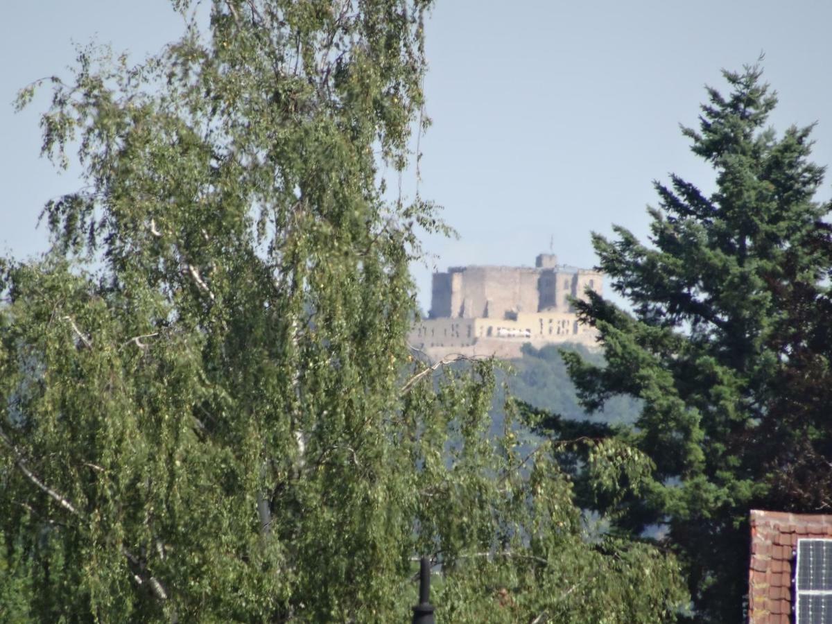 Phoenix Aus Der Asche Rhodt unter Rietburg Exterior photo