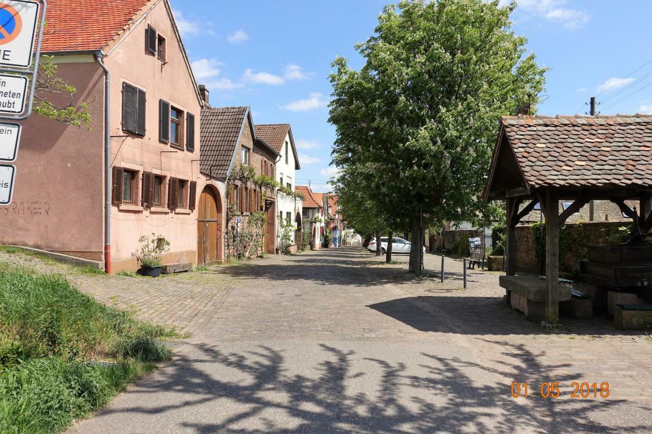 Phoenix Aus Der Asche Rhodt unter Rietburg Exterior photo